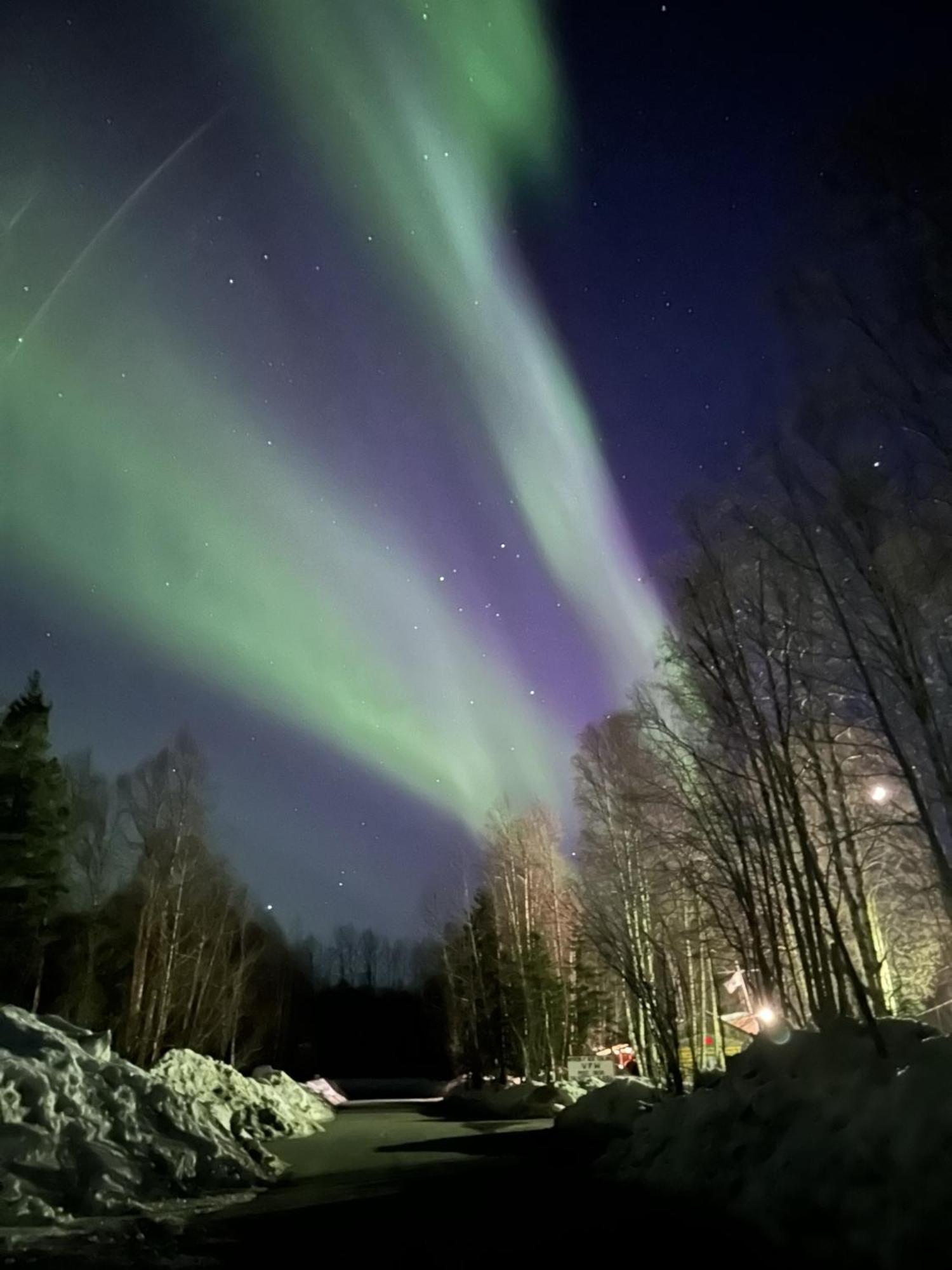 Talkeetna Villas And Tours Buitenkant foto